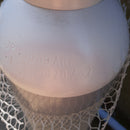 Bombola Ossigeno 14 Litri per Taglio Saldatura Ossiacetilene Ossipropano Consegnata Piena con Scadenza Collaudo 2033