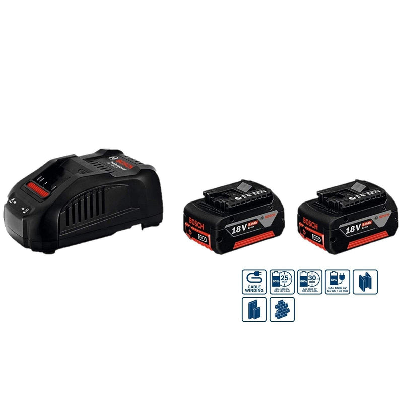 Set 2 batterie 18v 5,0 Ah con stazione di ricarica BOSCH - Tecnista